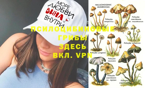 прущие грибы Алексеевка