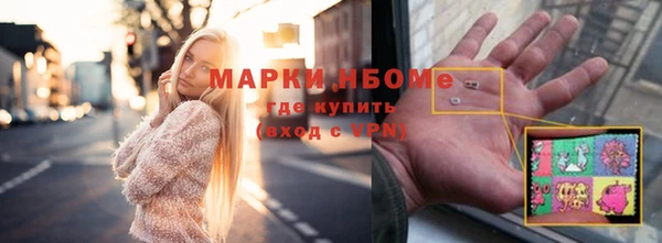 прущие грибы Алексеевка