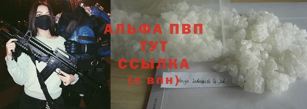 прущие грибы Алексеевка