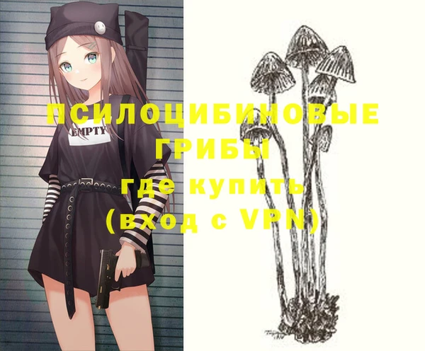 прущие грибы Алексеевка