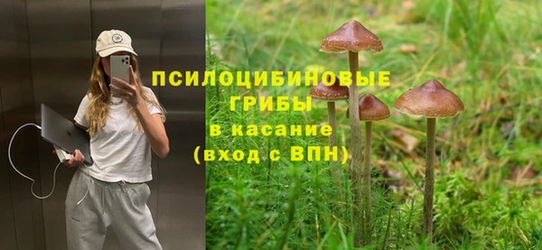 прущий лед Алзамай
