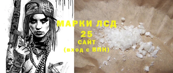 прущий лед Алзамай