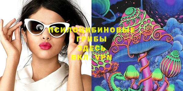 прущие грибы Алексеевка