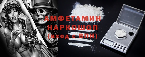 прущий лед Алзамай