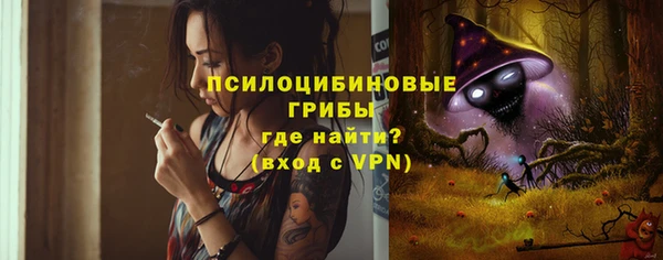 прущие грибы Алексеевка