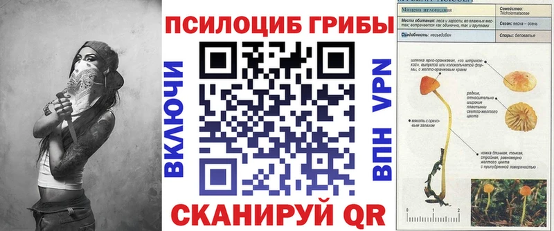 Галлюциногенные грибы прущие грибы  кракен как войти  Сибай 