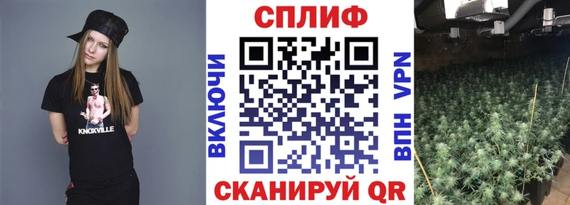 Шишки марихуана конопля  закладки  Сибай 